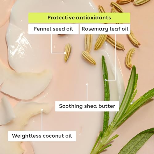 eos Holiday 24H Moisture Mini Super Balm Set, Sugar Plum Spritz, Candy Cane Swirl, Iced Sugar Cookie, Limited Edition Lip Care, Stocking Stuffers, 0.24 fl oz, 3-pack