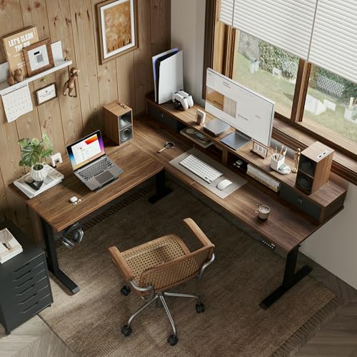 Agilestic L Shaped Electric Standing Desk with 2 Drawers, 63 Inch Ergonomic Adjustable Height Desk with Storage, Corner Desk Sit Stand up Computer Table for Work Office Home, Black