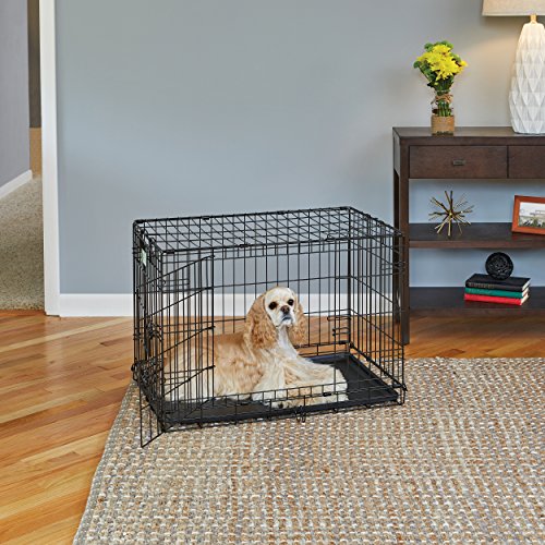 MidWest Homes for Pets Intermediate LifeStages Double Door 36-Inch Folding Dog Crate, Enhanced Security, Includes Leak-Proof Pan, Divider Panel, Handle, Rubber Feet