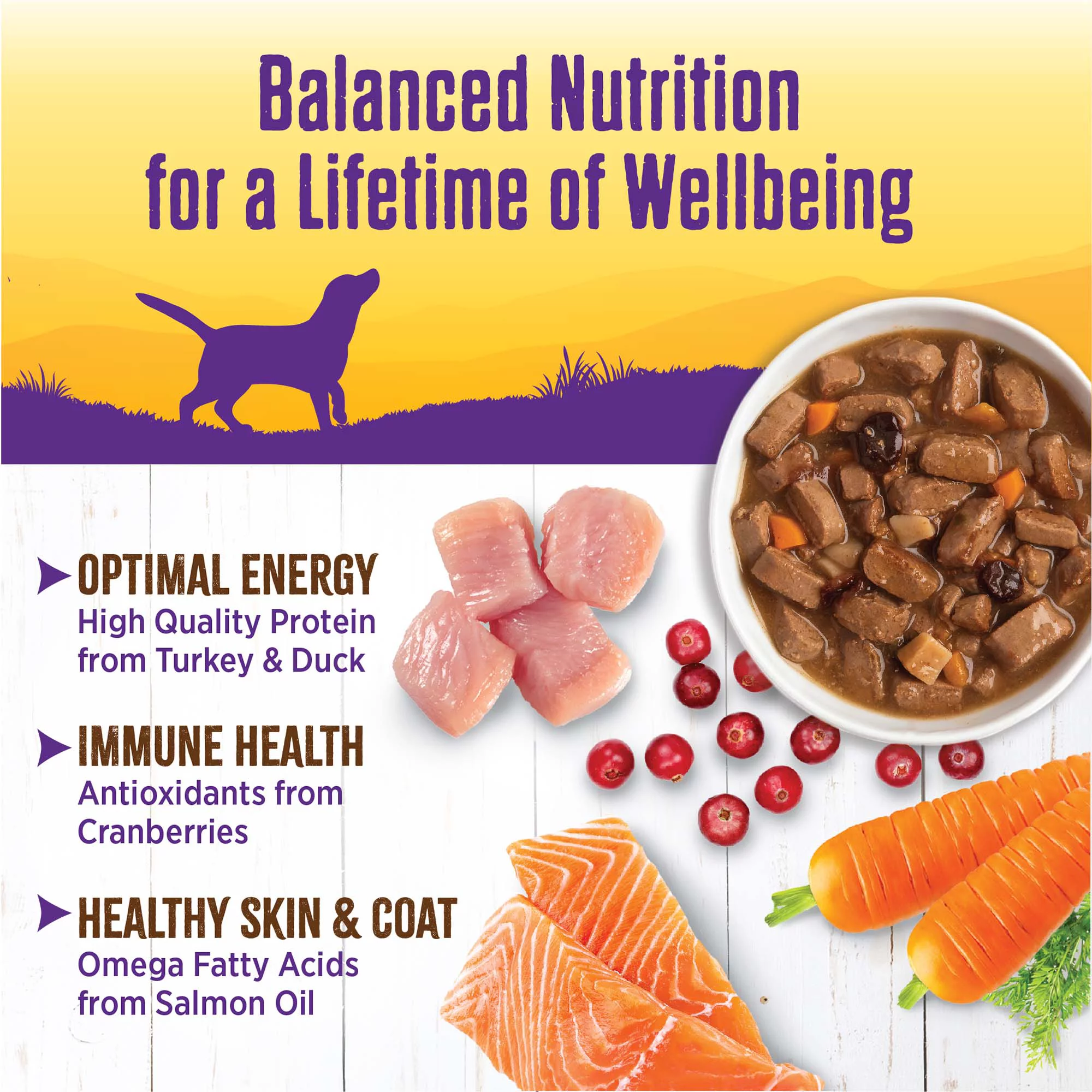 Wellness Thick & Chunky Natural Grain Free Canned Dog Food, Turkey & Duck Stew, 12.5-Ounce Can (Pack of 12)