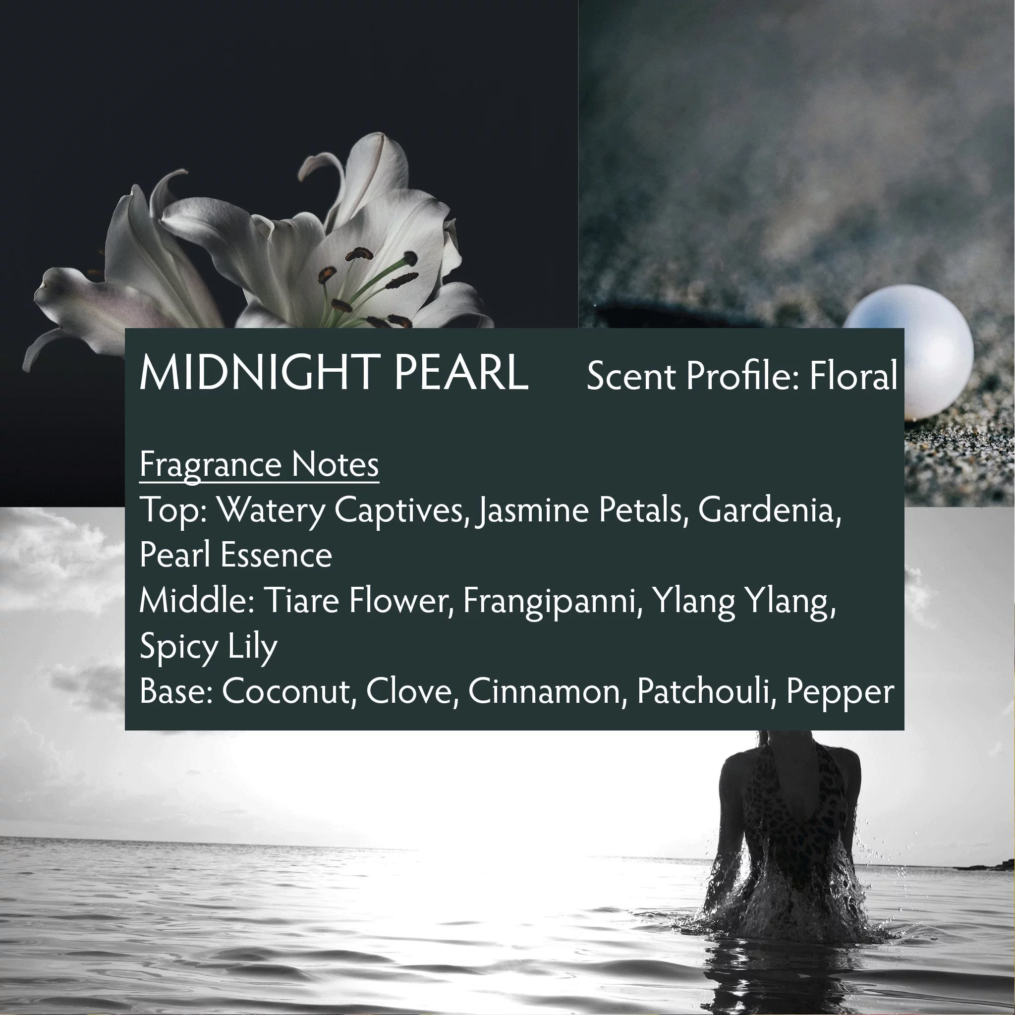 MIDNIGHT PEARL Perfume, Eau de Parfum Rollerball 0.25 fl oz