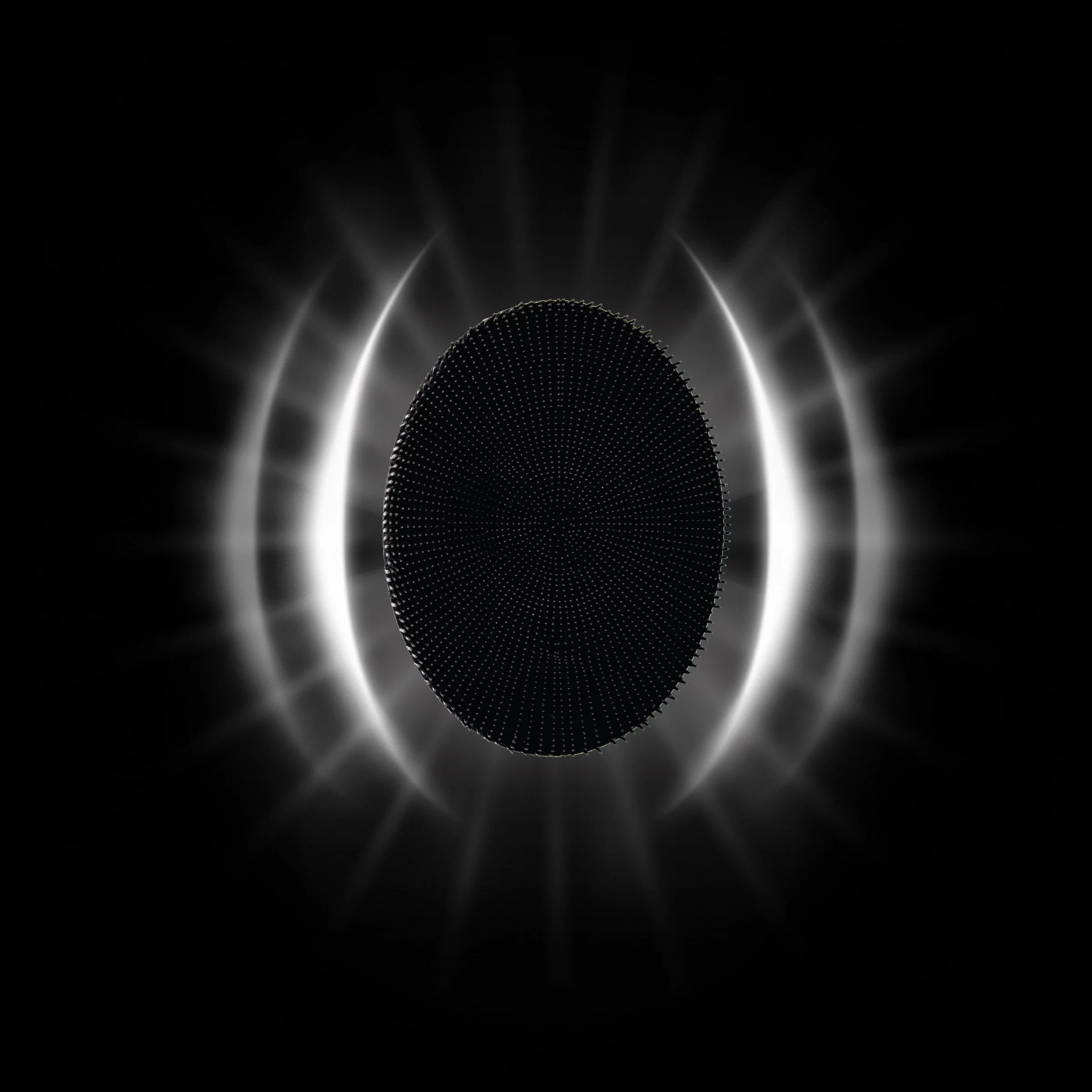 Black Wolf Vibrating Face and Body Brush, Sonic Scrubber