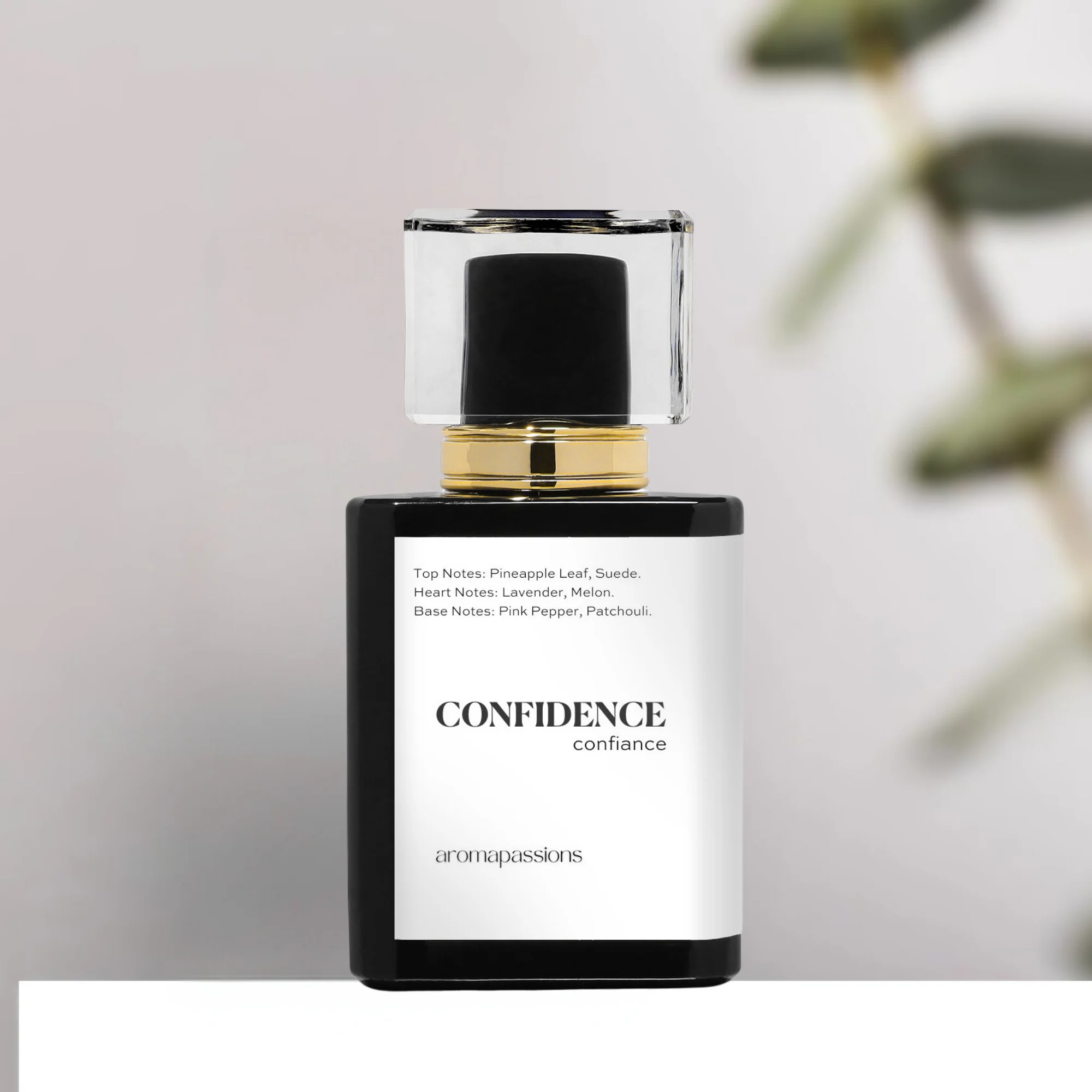 CONFIDENCE | Inspired by Jimmy Choo MAN | Pheromone Perfume for Men | Extrait De Parfum | Long Lasting Dupe Clone Perfume Cologne