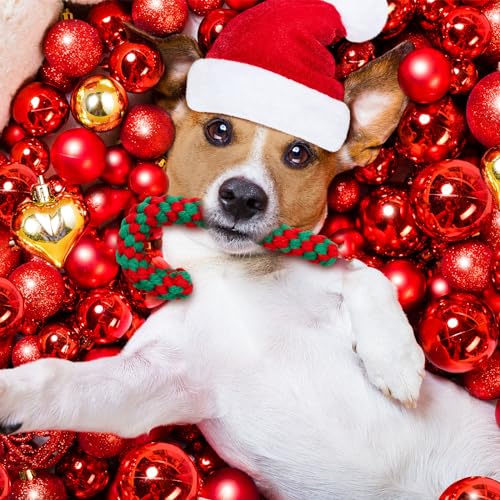 Threan 32 Pieces Dog Christmas Chew Toys Candy Cane Rope Toys Classic Crutch Shape for Christmas Puppy Small Pet Medium Large Dog Chewing Teething Clean and Training
