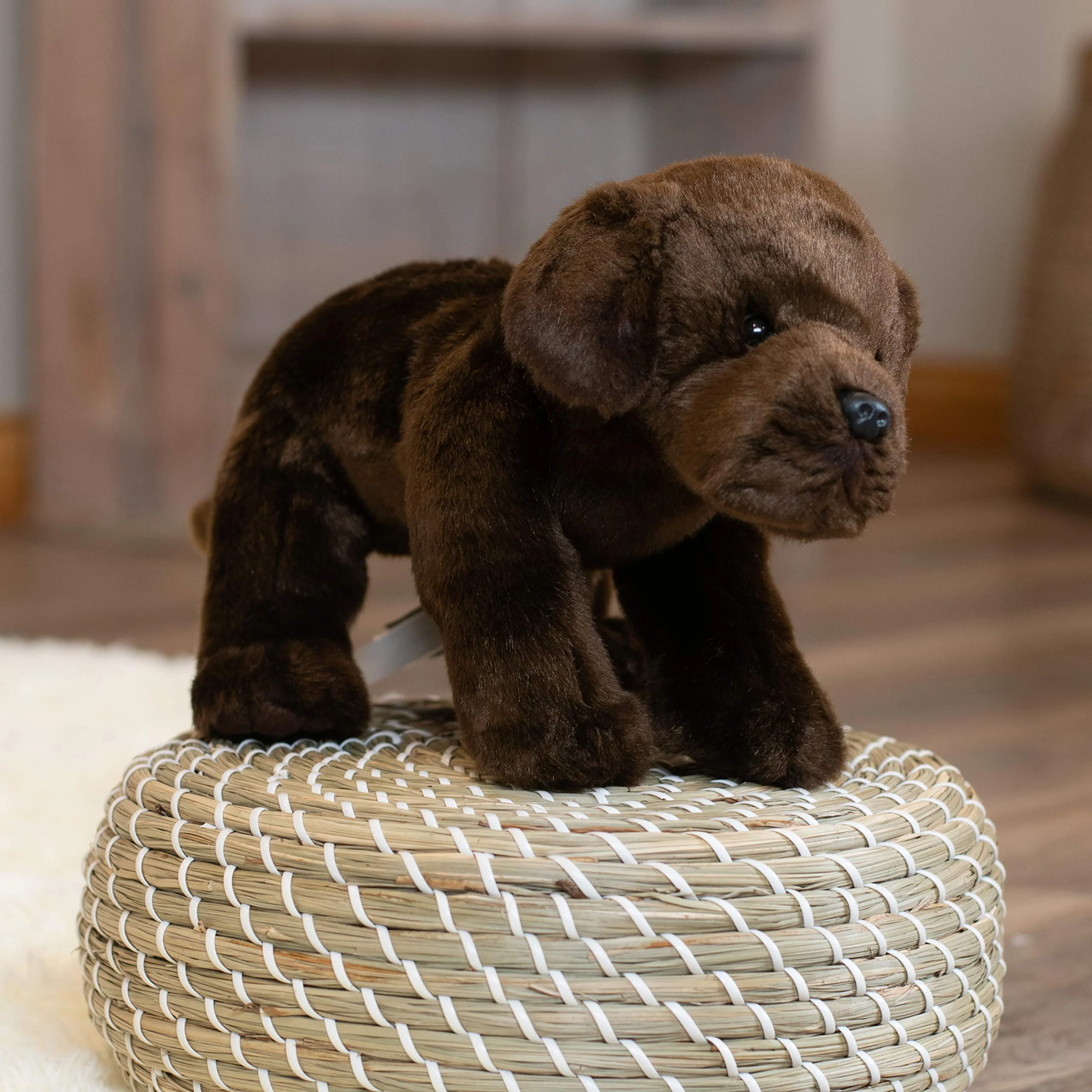 Nat and Jules Plush Toy, Chocolate Labrador, Large