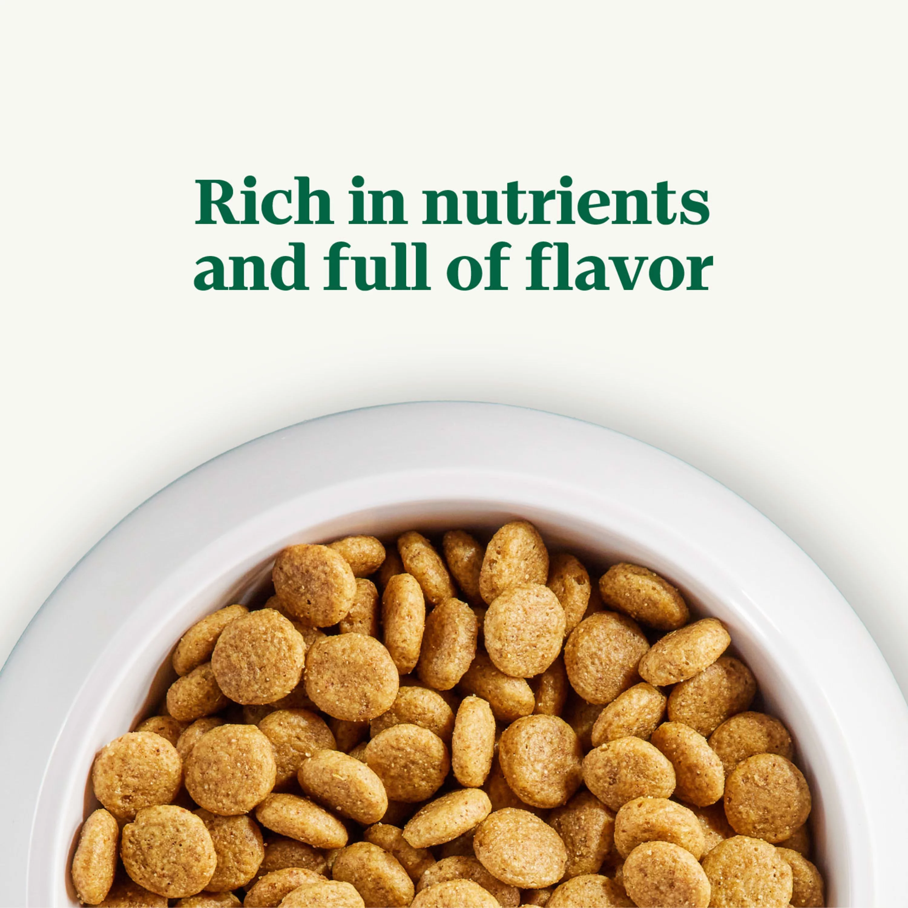 NUTRO NATURAL CHOICE Lamb & Brown Rice Recipe, Large Breed Adult Dry Dog Food, Dog Kibble, 20 lb. Bag