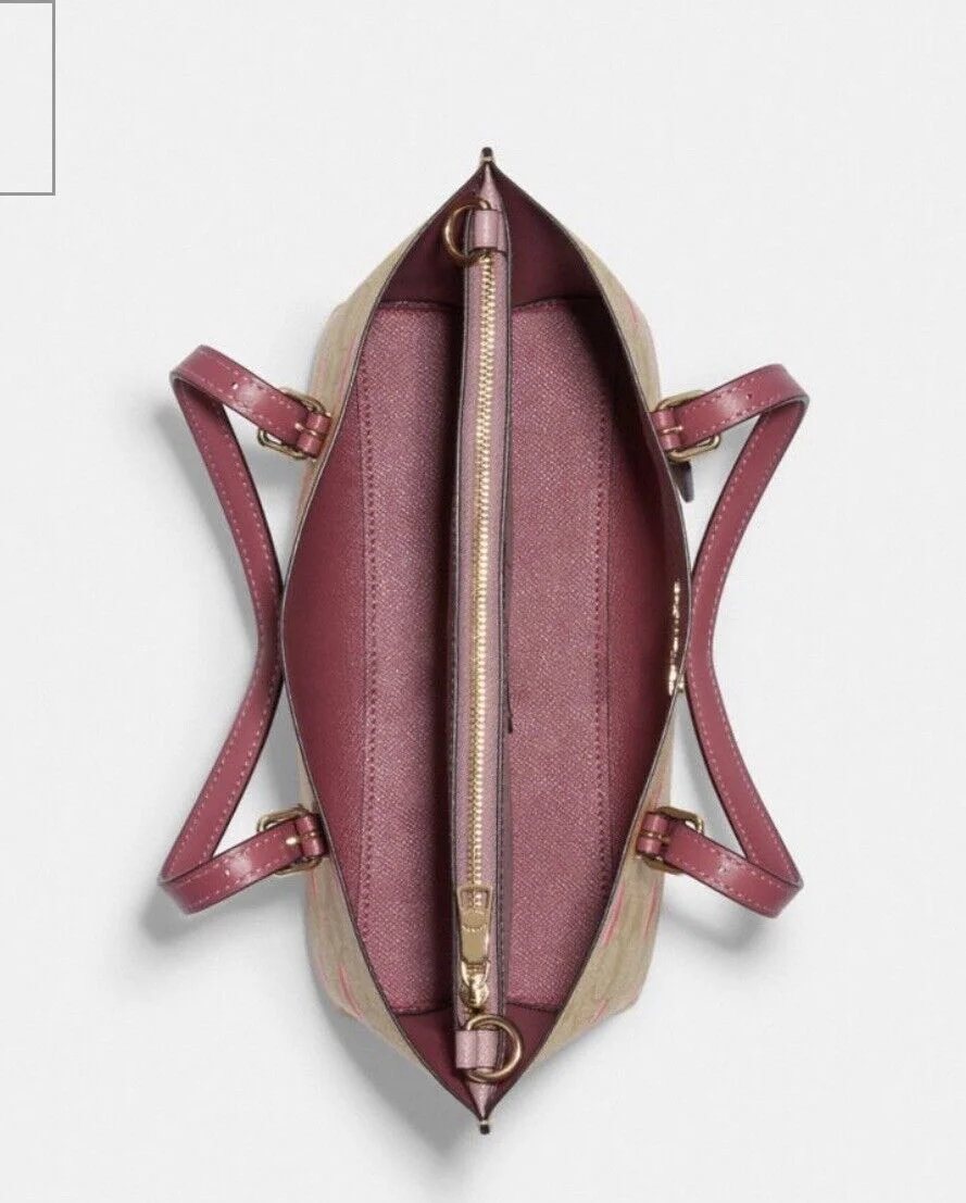 Coach Mollie Tote 25 Heart Stripe Print Crossbody CA252 $398 NWT