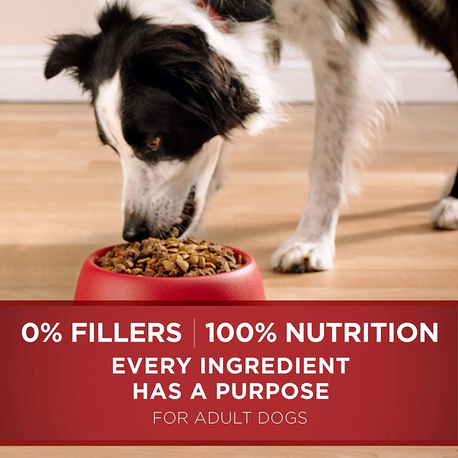 Purina ONE SmartBlend Natural Adult Lamb & Rice Dry Dog Food