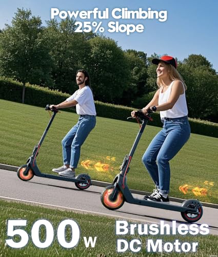 Electric Scooter, 350W/500W, 8.5