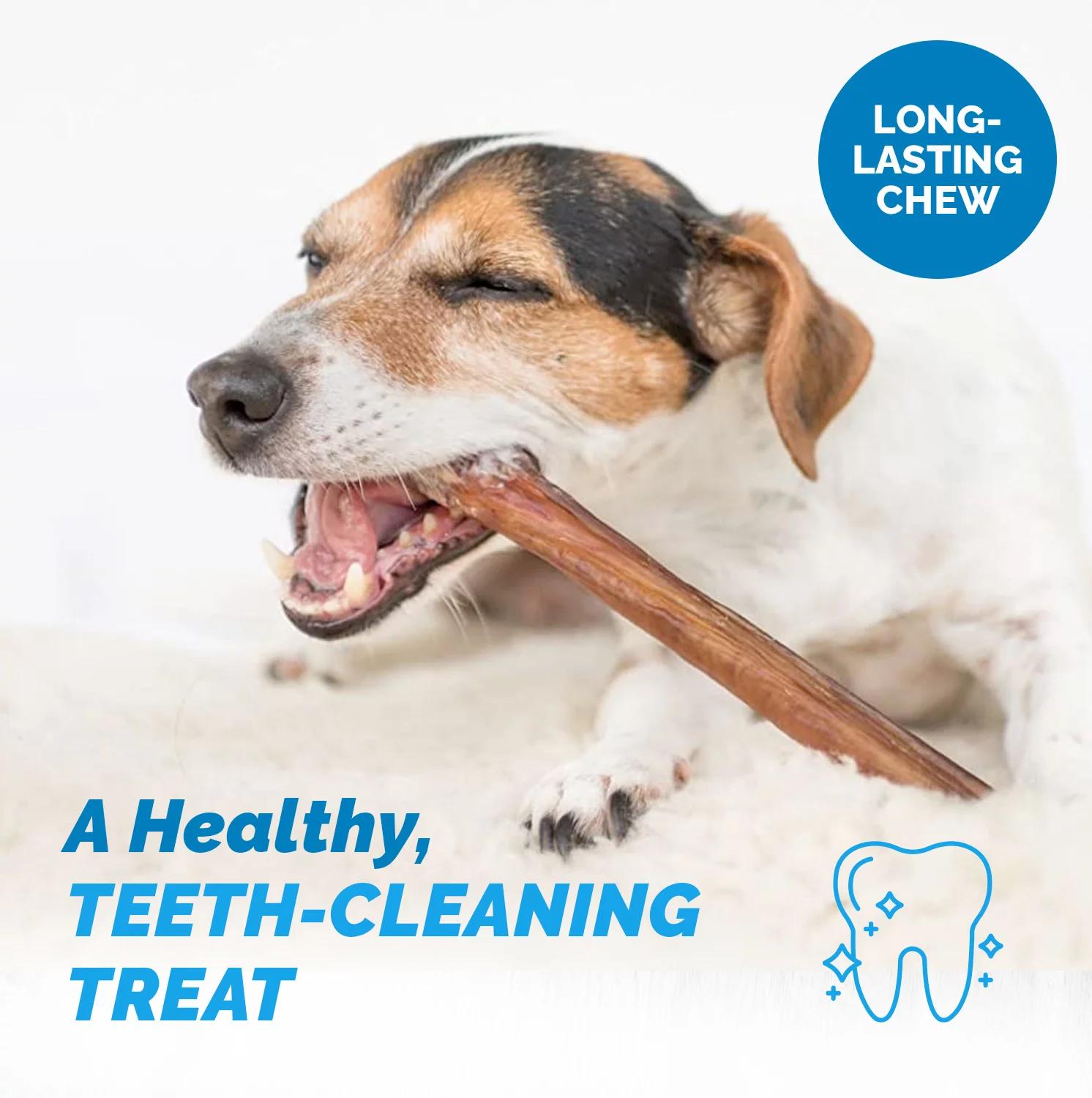 12 Inch Bully Stick for Dogs (1 Pound Bag) 100% Natural Bulk Chews for Dogs & Puppies - Grass-Fed Free-Range Premium Beef Dog Bully Sticks - Small, Medium and Large Dogs Dental by 123 Treats