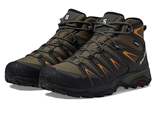 Salomon Men's X Ultra Pioneer Mid Climasalomon Waterproof Hiking Boot