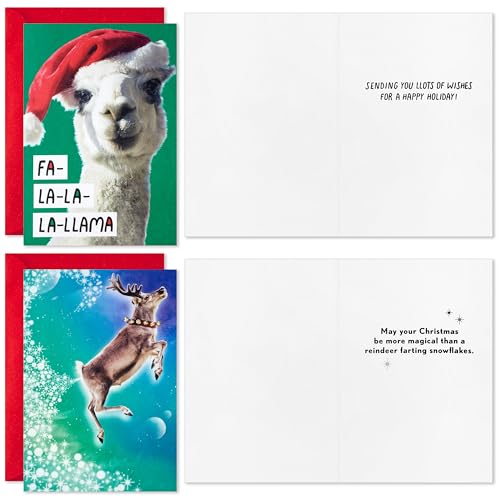 Hallmark Shoebox Funny Boxed Christmas Cards (24 Cards and 24 Envelopes) Dog, Cat, Llama, Reindeer