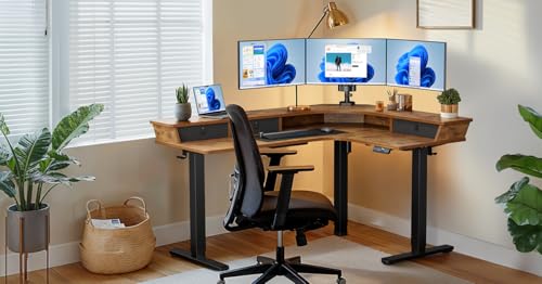 ErGear Electric L Shaped Standing Desk, 65'' Height Adjustable Corner Stand up Desk with Storage Drawers & Cable Management Trays, Modern Home Office Computer Workstation, Black