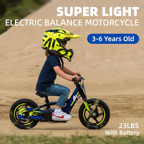 Lightweight Electric Dirt Bike for Kids, 170/340W Electric Motorcycle Up to 10/12MPH, 24V Detachable Battery, Hand-Operated Dual Brakes Electric Balance Bike for Ages 3-6/5-12