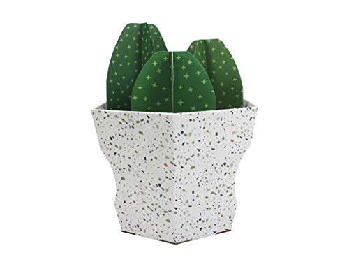 Christmas Cat House & Cat Scratcher w/Bonus Catnip Included