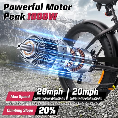 E2/K20 Electric Bike for Adults, 48V 13Ah/15Ah Battery, Up to 28 MPH & 46.6/60 Miles (PAS), 750/1000W Peak Ebike with All-Terrain 20