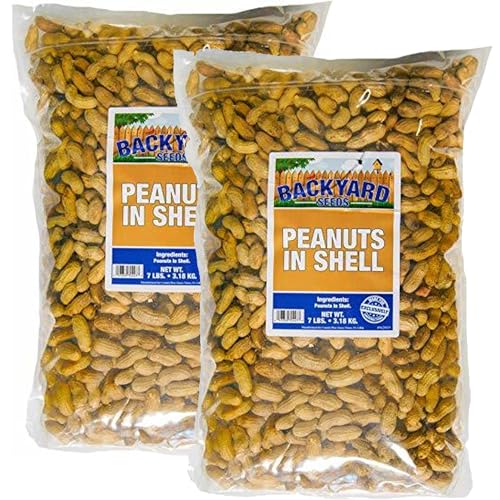 Raw Peanuts in The Shell - Non GMO Bulk Nuts for Blue Jays, Cardinals, Woodpeckers, Natural Squirrel Food for Wildlife (7 Pounds)