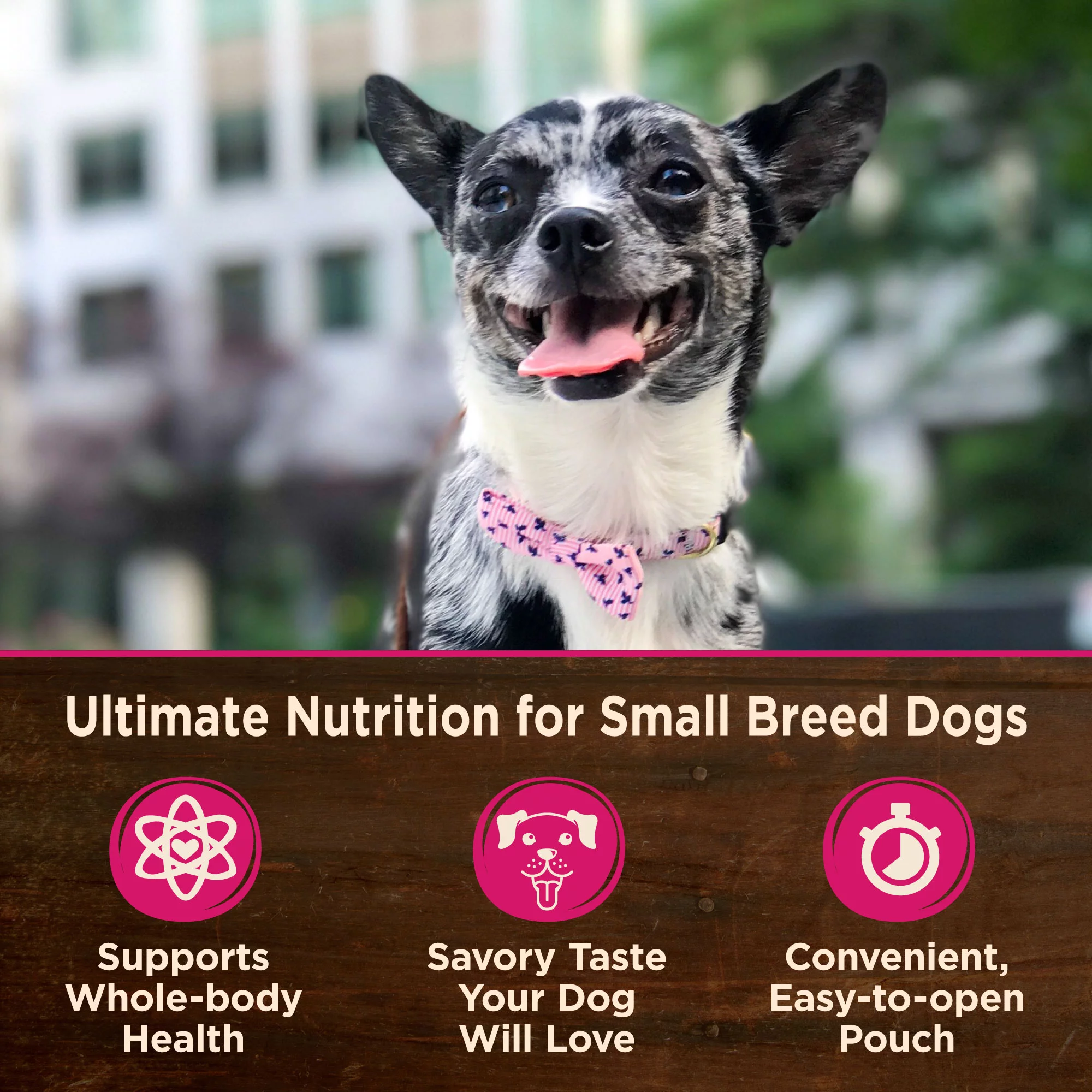 Wellness CORE Natural Grain Free Small Breed Mini Meals Wet Dog Food, Shredded Chicken & Lamb Entrée in Gravy, 3-Ounce Pouch (Pack of 12)