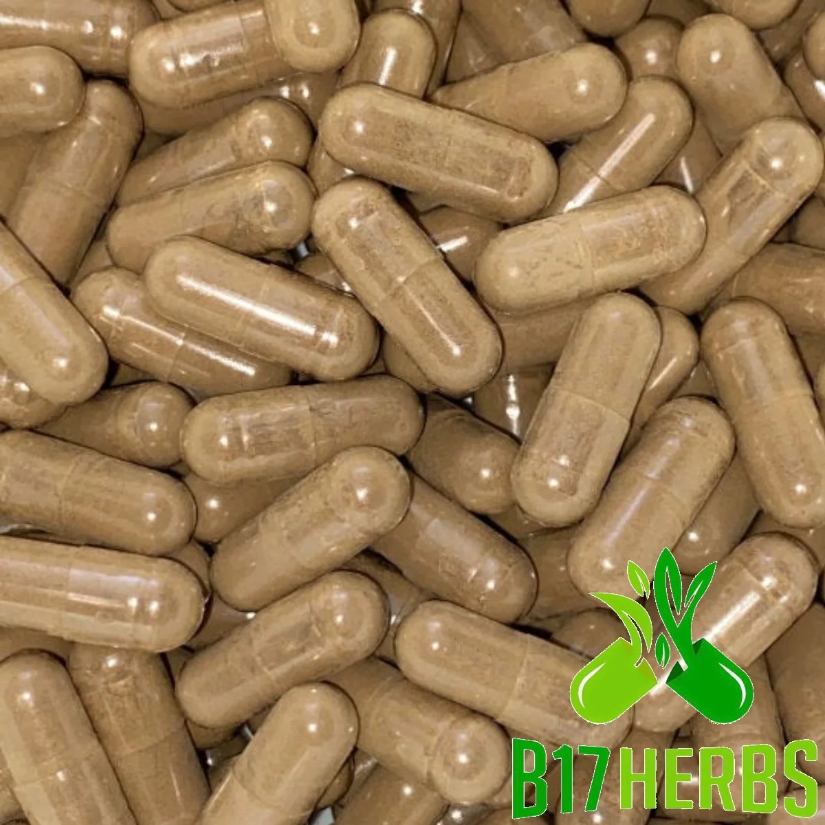Beef [H]eart [O]rgan [P]owder w/ [L]iver Veg. Caps | 600mg | 50/50 Ratio | Grass Fed | Natural | [B]ovine | B17 Herbs - Bulk Purchase 500 Veg. Caps