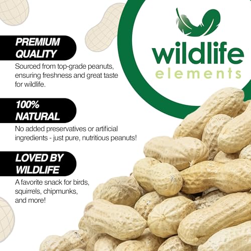 Peanut Party Unprocessed, Raw in-Shell Peanuts Wildlife Animal Food, 25lb - Rich in Protein, Healthy Fats, and Essential Nutrients for Birds, Squirrels and Waterfowl
