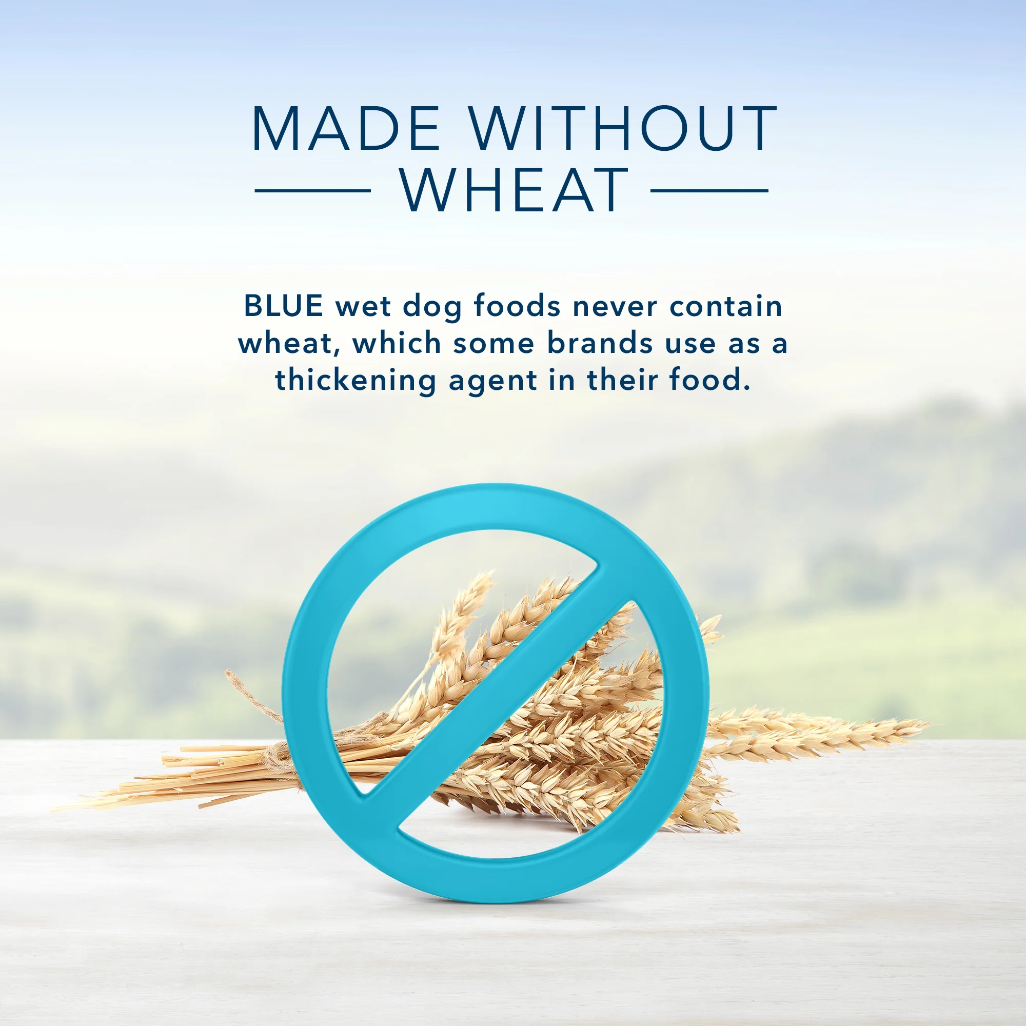 Blue Buffalo Homestyle Recipe Natural Puppy Wet Dog Food, Chicken 12.5-oz can (Pack of 12)