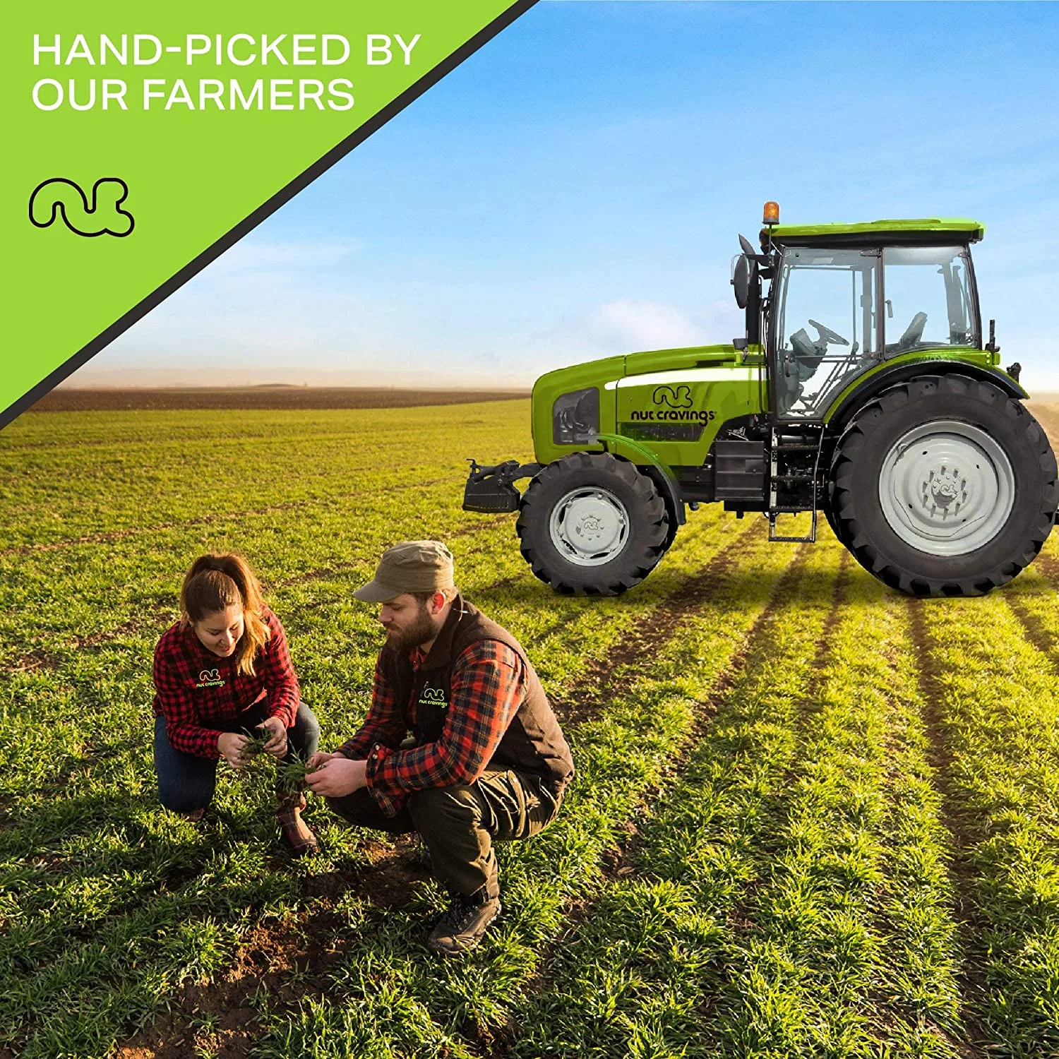 Nut Cravings Raw Brazil Nuts, Unsalted No Shell, (48oz - 3 lb)