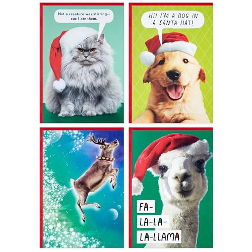 Hallmark Shoebox Funny Boxed Christmas Cards (24 Cards and 24 Envelopes) Dog, Cat, Llama, Reindeer