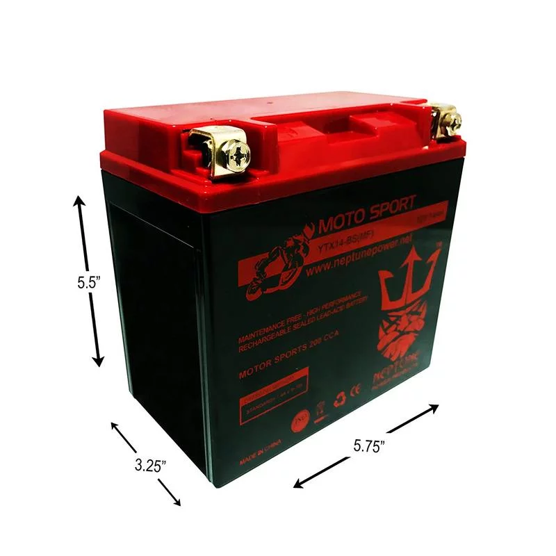 HONDA FL400R Pilot 1989-1990 YTX14-BS(MF) SLA Powersport Replacement Battery by Neptune