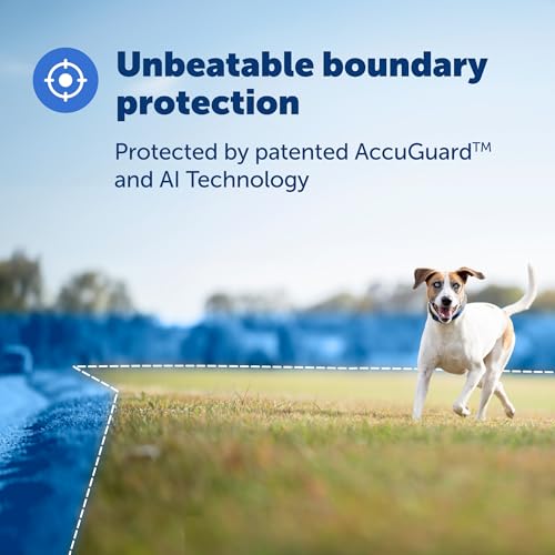 PetSafe Guardian GPS + Tracking Dog Fence Collar Pet Safe GPS Dog Collar Fence System, with App Waterproof Rechargeable Collar, Tracking for Dogs (Blue, Grey)