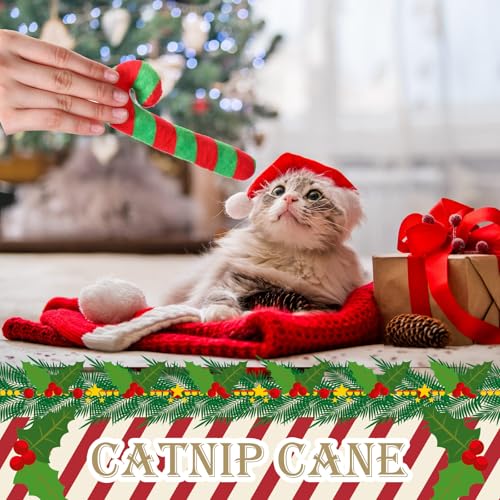6 Pcs Christmas Cat Toys Catnip Candy Cane Christmas Cat Gifts Resistant Chew Toy Peppermint for Xmas Kitten Indoor Interactive Pet Lover Gift Stuffed Teething Chew Pillow Training