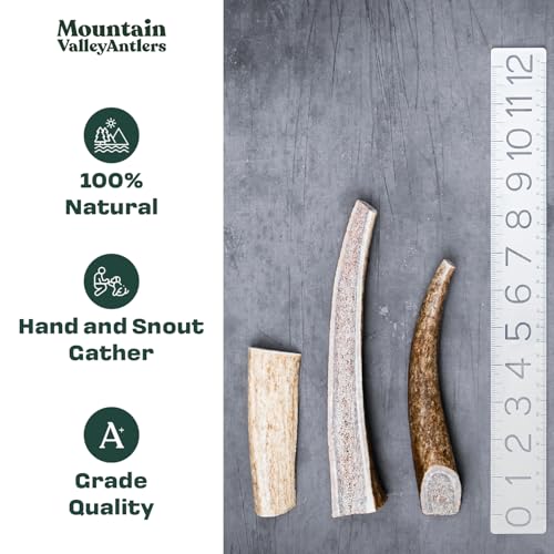 Mountain Valley Mixed Species Antlers for Dogs - 100% Natural & Organic Chew for Aggressive Chewers, No Odor, No Mess, Long Lasting - Wild-Foraged Naturally Shed Antler in USA - Grade A Pack (1 LB)