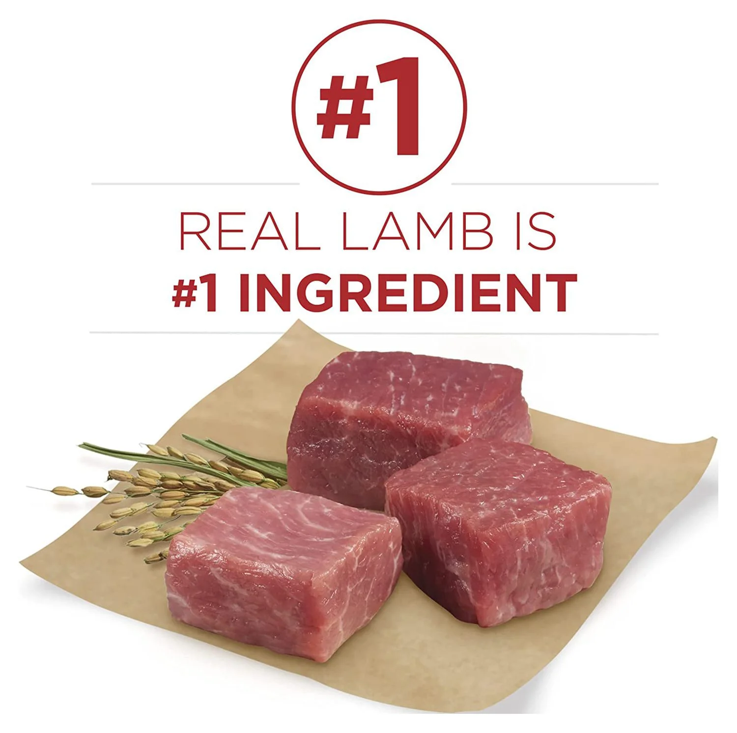 Purina ONE SmartBlend Natural Adult Lamb & Rice Dry Dog Food