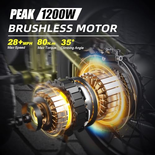 Electric Bike for Adults – 20