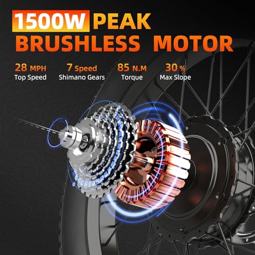 Fat Tire Electric Bike for Adults 20