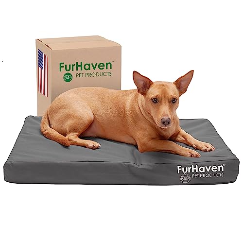 Furhaven Water-Resistant Orthopedic Dog Bed for Large/Medium Dogs w/ Removable Washable Cover, For Dogs Up to 55 lbs - Indoor/Outdoor Logo Print Oxford Polycanvas Mattress - Forest, Large