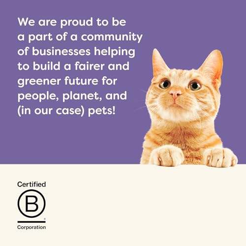 Applaws Natural Wet Cat Food in Gravy, Limited and Natural Ingredients, High Protein with No Artificial Additives, Fish Selection in Gravy (24 x 2.47oz Cans)