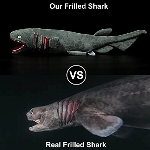 ZHONGXIN MADE Frilled Shark Plush Toy - Grey Lifelike Frilled Shark Stuffed Toy, Soft Realistic Sea Creatures Model Plush for Kids, 20.5Inches