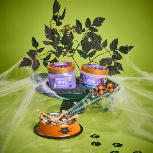 Tree Hut Cotton Candy Shea Sugar Scrub, 510 Grams