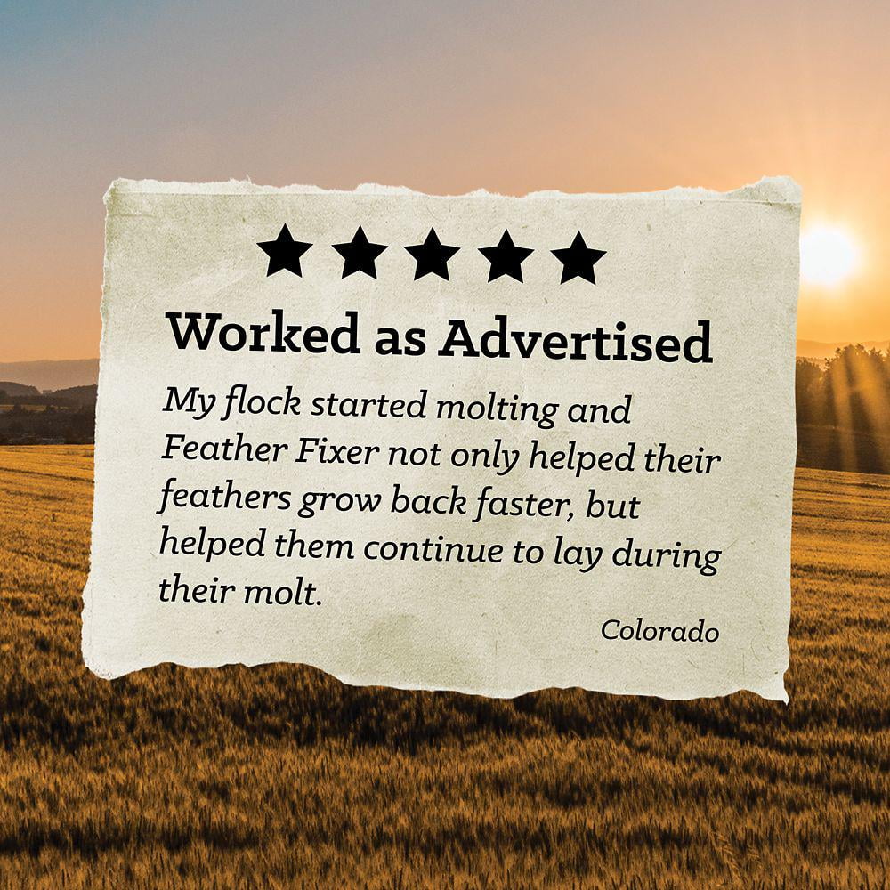 Nutrena NatureWise Feather Fixer Chicken Feed, 40 lb.