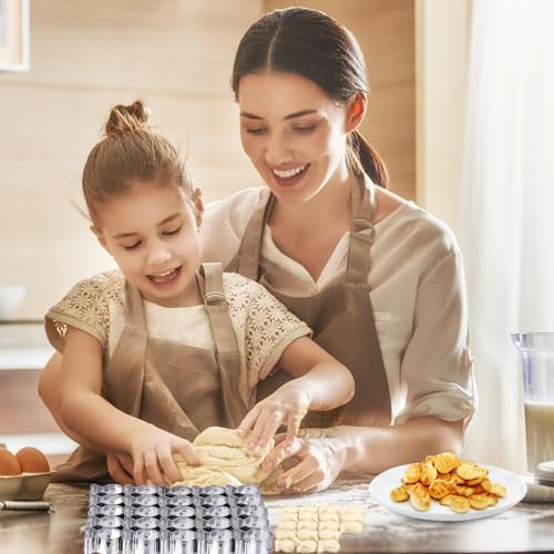 AIERSA Mini Gingerbread Cookie Cutter,Small Christmas Cookie Cutters,1 Inch Tiny Gingerbread Man Shapes Cookie Cutter,20 Cavity Metal Stainless Steel Christmas Cookie Cutters