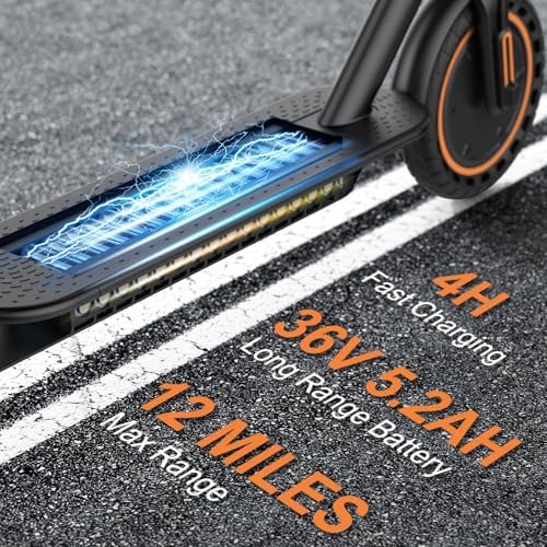 VOLPAM Electric Scooter, 350W/500W, 8.5