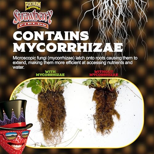 FoxFarm Strawberry Fields Fruiting & Flowering Potting Soil, 1.5cu ft - Use to Increase Blooms, Fruits, and Berries - Made for The Fruiting and Flowering Stages of Plants