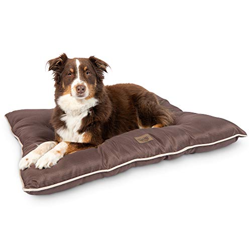 Pet Craft Supply Super Snoozer Calming Indoor / Outdoor All Season Water Resistant Durable Dog Bed, Large, Chocolate, 40.0