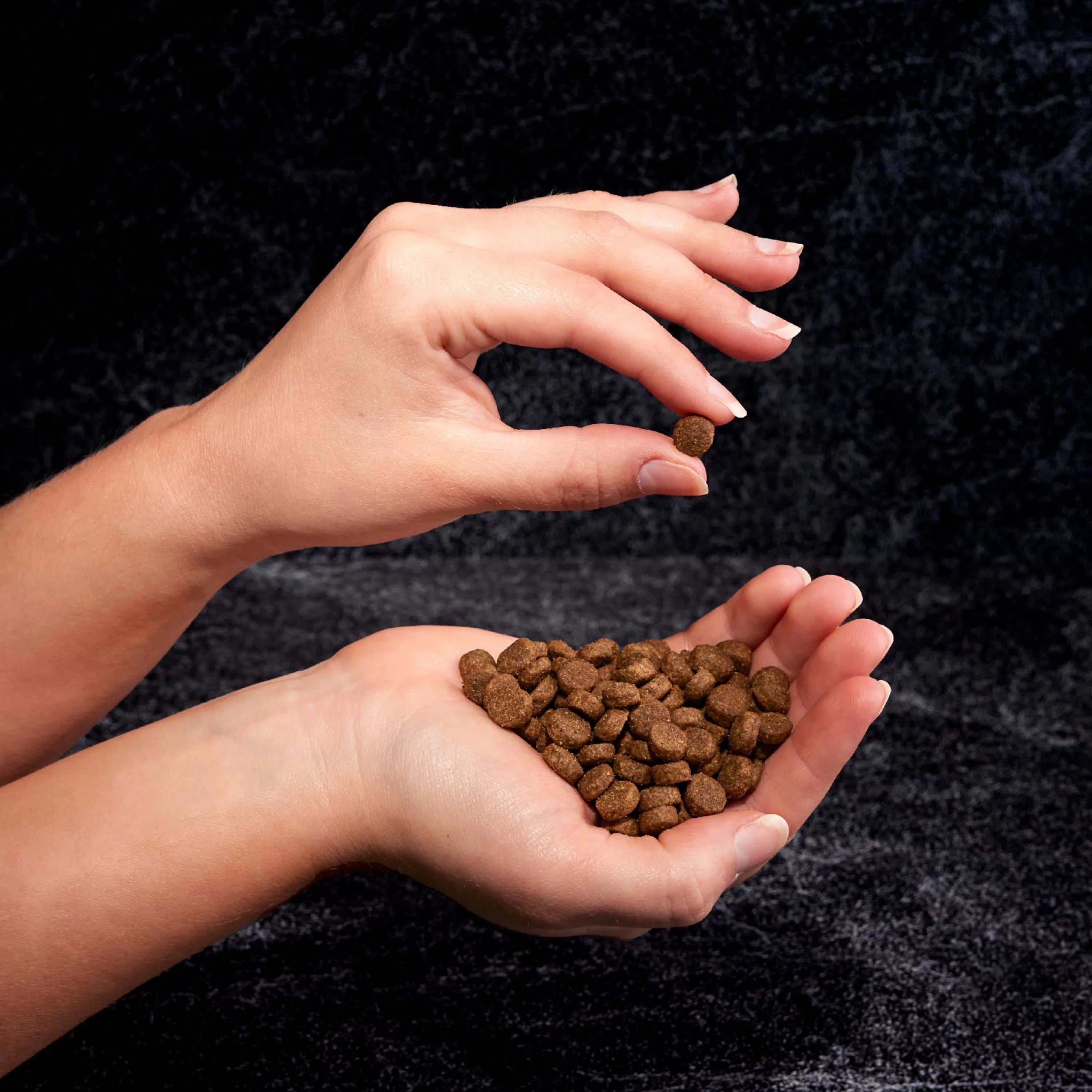 CRAVE Grain Free Adult Dry Dog Food with Protein from Lamb, 12 lb. Bag