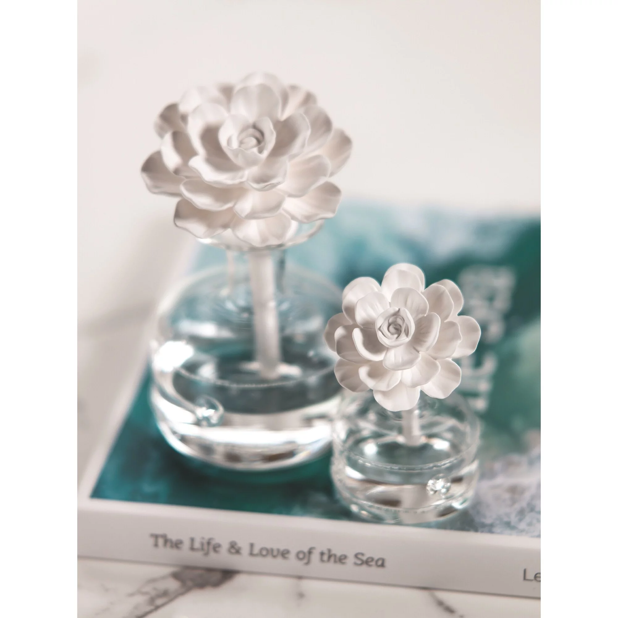 WHITE ROSE Grand Casablanca Aroma Porcelain Diffuser