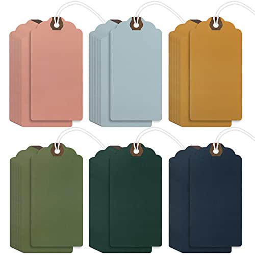 Outus 60 Pcs 4 3/4-in x 2 3/8-in Blank Large Paper Gift Tags with String and Reinforced Eyelet Wire Writable Price Tags Shipping Labels Inventory Labels(Morandi Color)