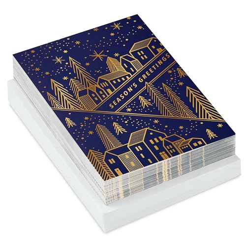 Hallmark Modern Boxed Christmas Cards, Amazing Holiday (40 Cards and 40 Envelopes) Evergreen Branches and Holly