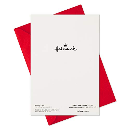 Hallmark Boxed Christmas Cards, Snowy Wreath (40 Cards and Envelopes)