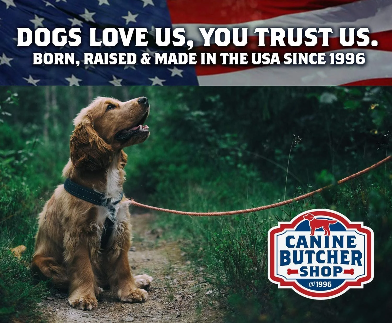 Canine Butcher Shop Raised & Made in USA Chicken Feet for Dogs (Pack of 30), All Natural USA Dog Chews Rawhide Alternative Treats