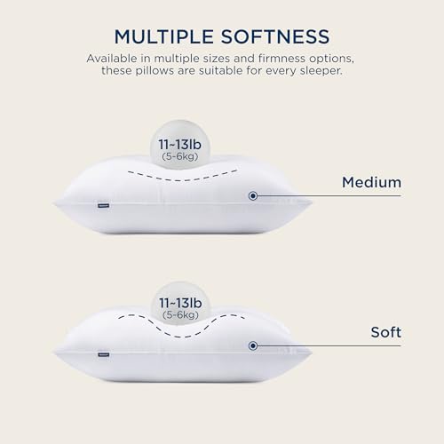 Bedsure King Size Pillows Set of 2 - King Size Bed Pillows 2 Pack for Sleeping, Soft and Supportive, Hotel Quality, Original Down Alternative Filling for Side, Back Sleepers